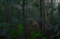 قسمت 12 فصل هفتم سریال The Walking Dead