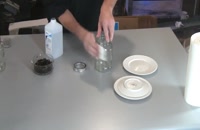 پرورش قارچ با تفاله قهوه بصورت ساده