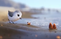 انیمیشن کوتاه جوجه کبوتر- Disney Pixar – Piper 2016