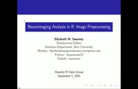 Neuroimaging Analysis in R: Image Preprocessing