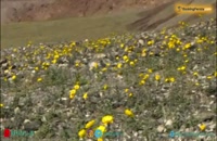 دره گلها ارمنستان، میعادگاه عاشقان طبیعت - بوکینگ پرشیا bookingpersia