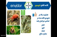 کنترل و نابود سازی کنه های درختی با سم کنه کش انویدور | Envidor