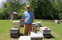 072002 - زنبورداری سری اول
