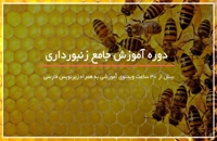 آموزش زنبورداری بصورت کامل در 118 فایل