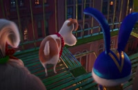 Animation The Secret Life of Pets 2 2019