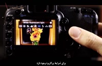 آموزش دوربین دی‌اس‌ال‌آر: اصول اولیه کار با دوربین‌
