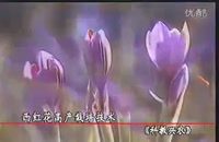 آموزش زعفران گلخانه ای - فیلم آموزشی