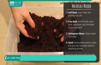 ترکیب خاک مناسب برای تراریم و گلدان