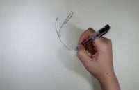 آموزش کشیدن نقاشی ققنوس | آموزش