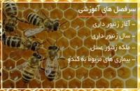 نکات زنبورداری برای روش نیکوت