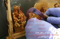 آموزش زنبورداری - روش میلر