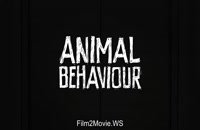انیمیشن animal behavior - انیمیشن